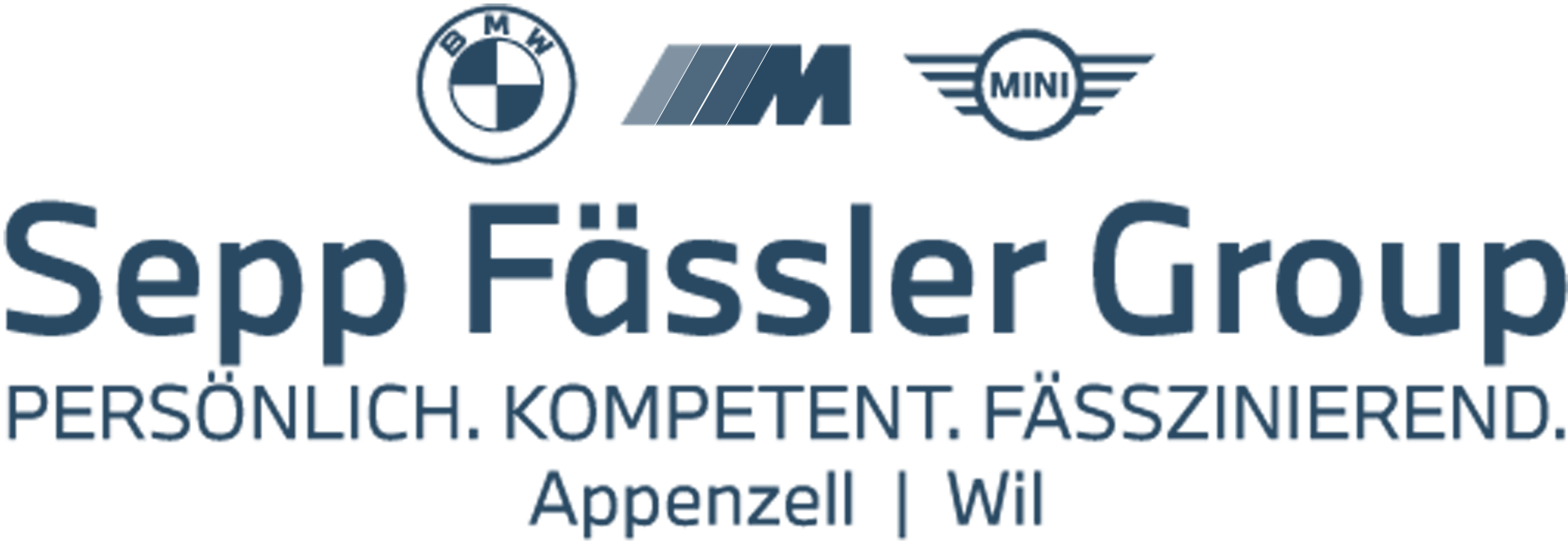 Sepp-Faessler-Group